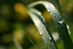 Allwebco Design Corporation